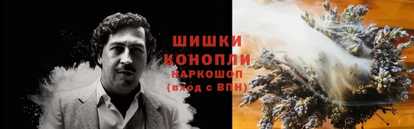 амф Гусь-Хрустальный