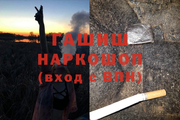 ешки Гусев
