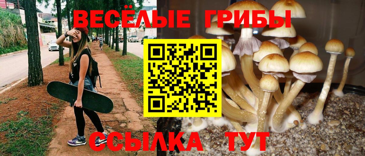 Йошкар-Ола  Галлюциногенные грибы GOLDEN TEACHER  Вход с VPN 
